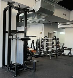Гравитрон Insight Fitness HS11